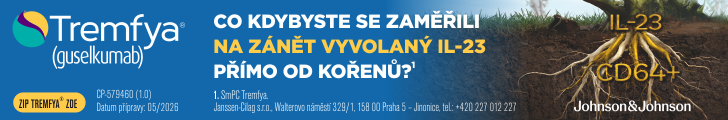 Firmy 2. část